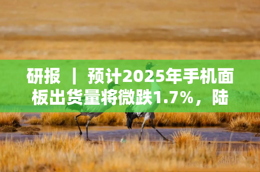 研报 ｜ 预计2025年手机面板出货量将微跌1.7%，陆系厂商占比将超过70%