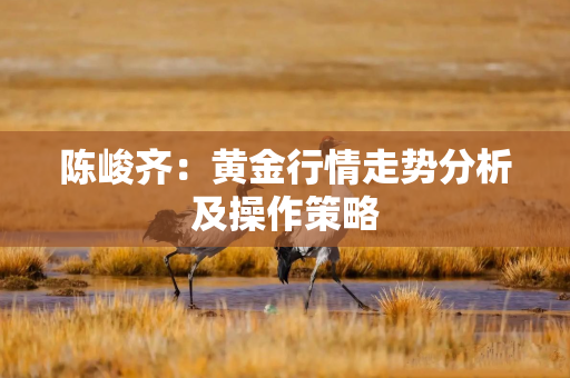 陈峻齐：黄金行情走势分析及操作策略