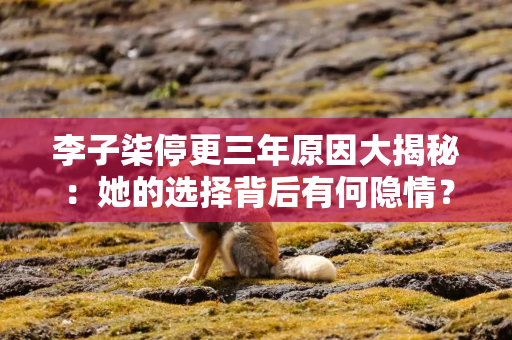 李子柒停更三年原因大揭秘：她的选择背后有何隐情？