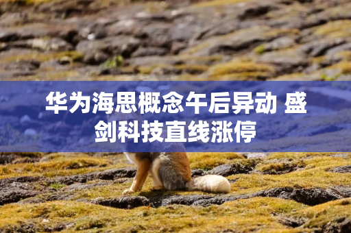 华为海思概念午后异动 盛剑科技直线涨停