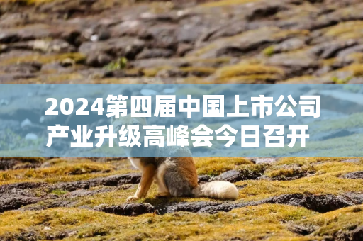 2024第四届中国上市公司产业升级高峰会今日召开 探寻产业升级新锚点