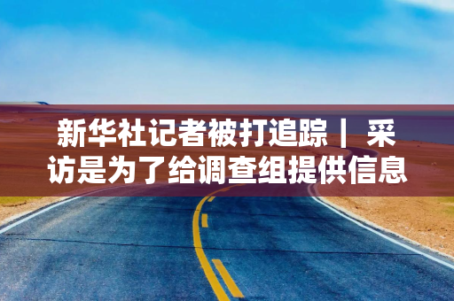 新华社记者被打追踪｜ 采访是为了给调查组提供信息，打人者不是农民工