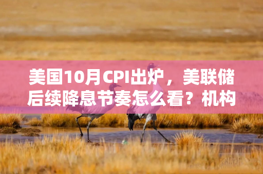 美国10月CPI出炉，美联储后续降息节奏怎么看？机构最新研判速览