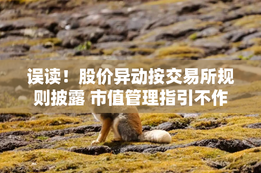 误读！股价异动按交易所规则披露 市值管理指引不作单独要求
