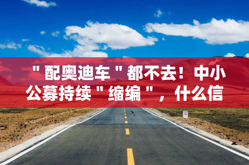＂配奥迪车＂都不去！中小公募持续＂缩编＂，什么信号？