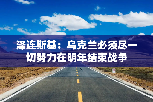 泽连斯基：乌克兰必须尽一切努力在明年结束战争