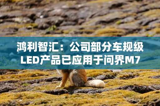 鸿利智汇：公司部分车规级LED产品已应用于问界M7