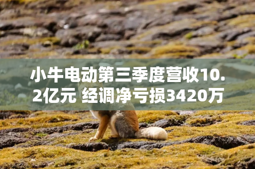 小牛电动第三季度营收10.2亿元 经调净亏损3420万元