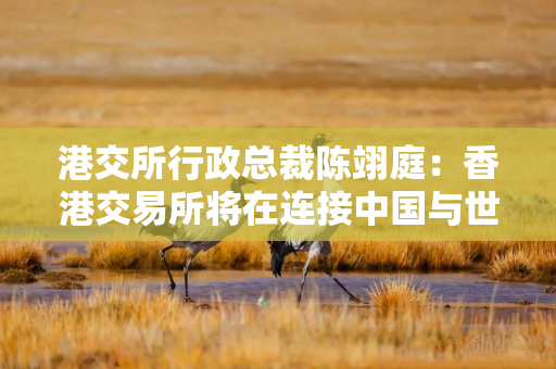港交所行政总裁陈翊庭：香港交易所将在连接中国与世界方面发挥更大作用