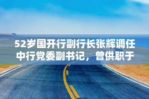 52岁国开行副行长张辉调任中行党委副书记，曾供职于交行27年