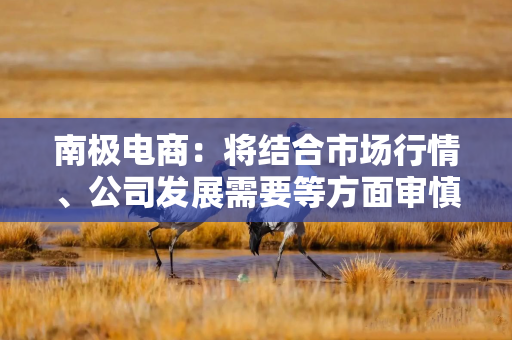 南极电商：将结合市场行情、公司发展需要等方面审慎考虑投资或并购计划