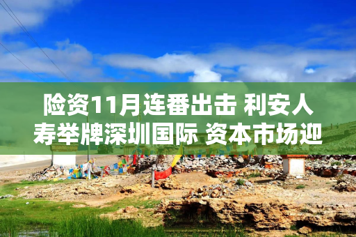 险资11月连番出击 利安人寿举牌深圳国际 资本市场迎险资“长钱”新时代