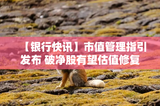 【银行快讯】市值管理指引发布 破净股有望估值修复