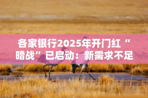 各家银行2025年开门红“暗战”已启动：新需求不足下优先稳住老客户 对房地产回暖谨慎乐观