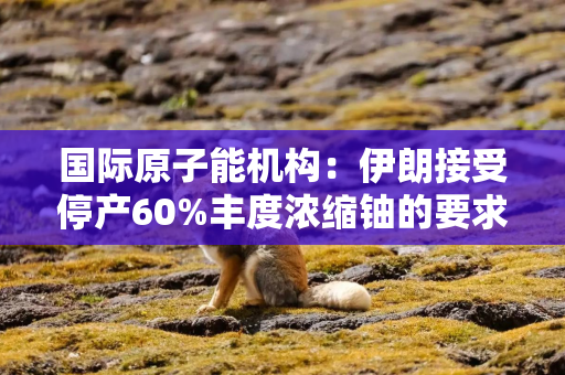 国际原子能机构：伊朗接受停产60%丰度浓缩铀的要求