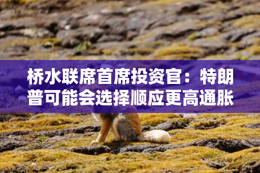 桥水联席首席投资官：特朗普可能会选择顺应更高通胀的美联储主席人选