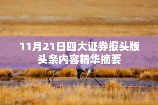 11月21日四大证券报头版头条内容精华摘要