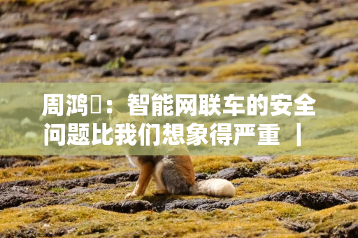 周鸿祎：智能网联车的安全问题比我们想象得严重 ｜ 直击乌镇