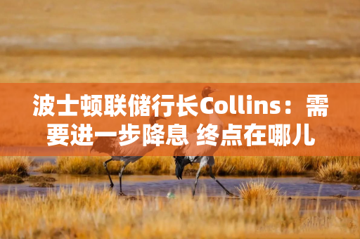 波士顿联储行长Collins：需要进一步降息 终点在哪儿未知