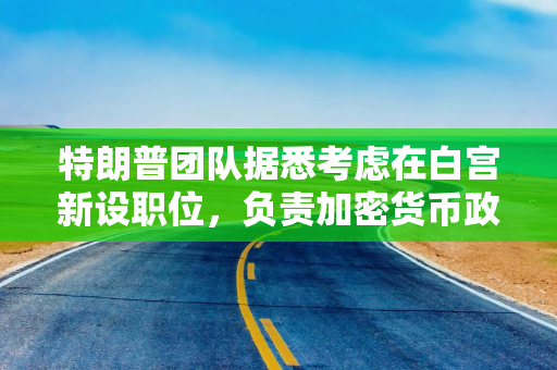 特朗普团队据悉考虑在白宫新设职位，负责加密货币政策