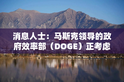 消息人士：马斯克领导的政府效率部（DOGE）正考虑开发一款免费税务申报移动应用
