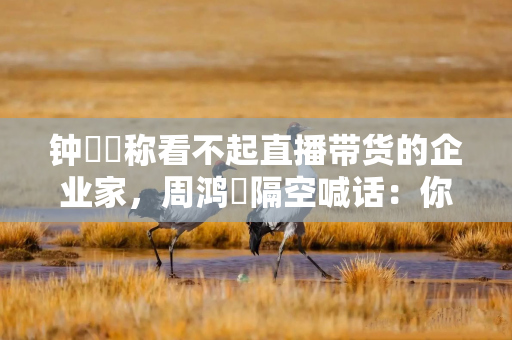 钟睒睒称看不起直播带货的企业家，周鸿祎隔空喊话：你应该打造个人IP
