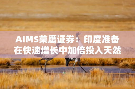 AIMS荣鹰证券：印度准备在快速增长中加倍投入天然气