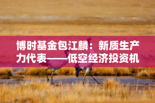 博时基金包江麟：新质生产力代表——低空经济投资机遇解析