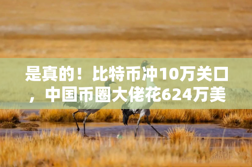 是真的！比特币冲10万关口，中国币圈大佬花624万美元买下一根香蕉