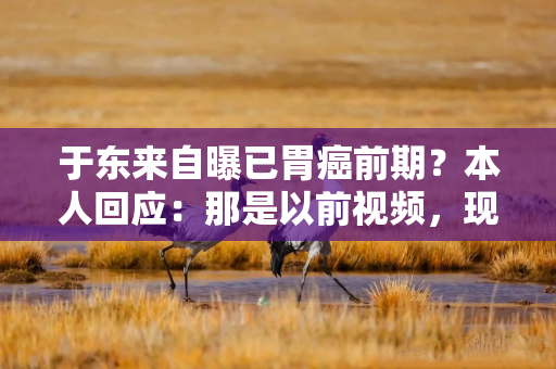 于东来自曝已胃癌前期？本人回应：那是以前视频，现在没问题