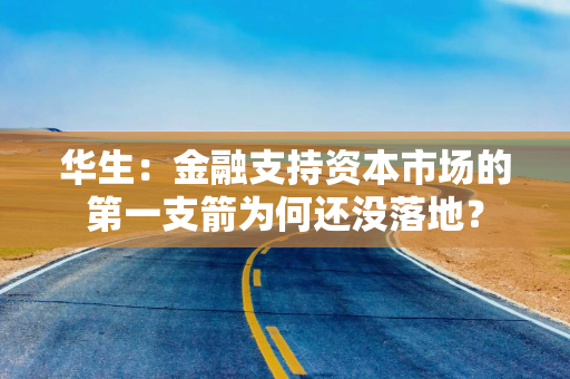 华生：金融支持资本市场的第一支箭为何还没落地？
