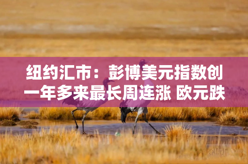 纽约汇市：彭博美元指数创一年多来最长周连涨 欧元跌至两年低点