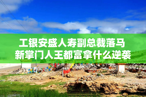 工银安盛人寿副总裁落马 新掌门人王都富拿什么逆袭？