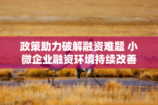 政策助力破解融资难题 小微企业融资环境持续改善