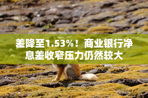 差降至1.53%！商业银行净息差收窄压力仍然较大