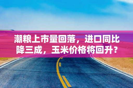 潮粮上市量回落，进口同比降三成，玉米价格将回升？