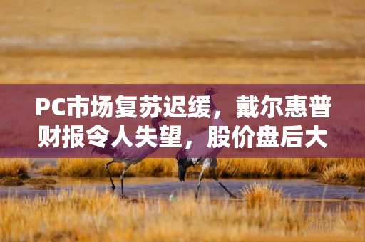 PC市场复苏迟缓，戴尔惠普财报令人失望，股价盘后大跌