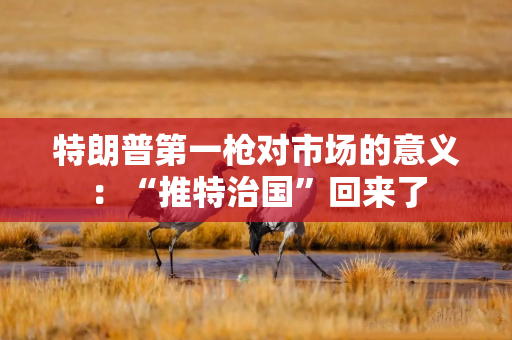 特朗普第一枪对市场的意义：“推特治国”回来了