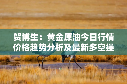 贺博生：黄金原油今日行情价格趋势分析及最新多空操作建议指导