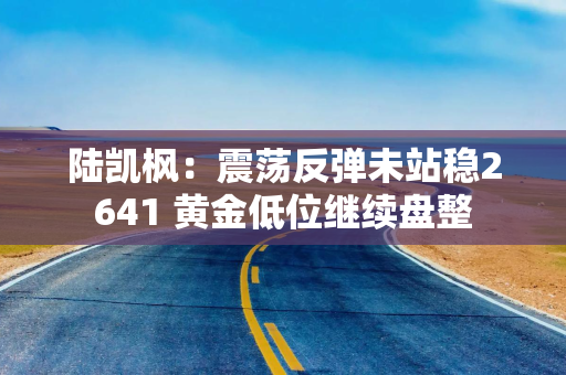 陆凯枫：震荡反弹未站稳2641 黄金低位继续盘整