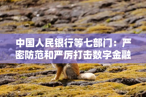 中国人民银行等七部门：严密防范和严厉打击数字金融相关非法金融活动
