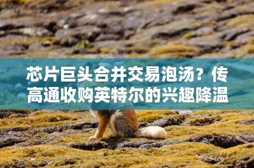 芯片巨头合并交易泡汤？传高通收购英特尔的兴趣降温