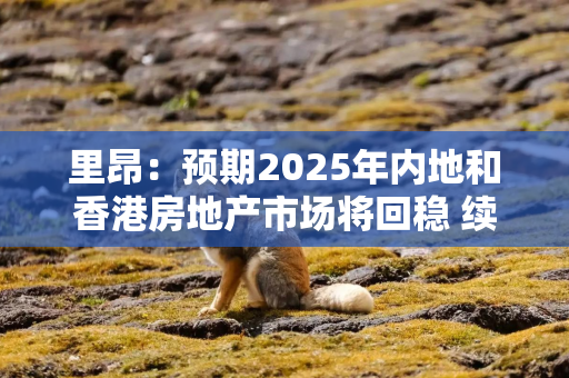 里昂：预期2025年内地和香港房地产市场将回稳 续列华润置地为首选股