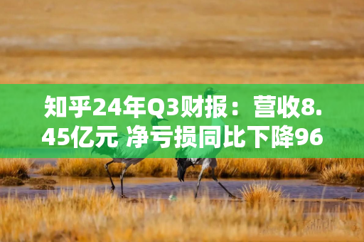 知乎24年Q3财报：营收8.45亿元 净亏损同比下降96.8%