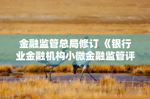 金融监管总局修订 《银行业金融机构小微金融监管评价办法》出台
