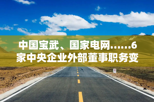 中国宝武、国家电网……6家中央企业外部董事职务变动