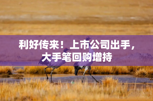 利好传来！上市公司出手，大手笔回购增持