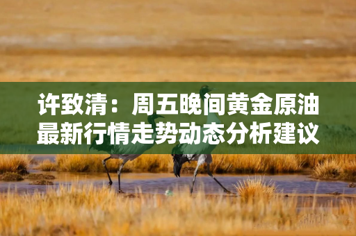 许致清：周五晚间黄金原油最新行情走势动态分析建议