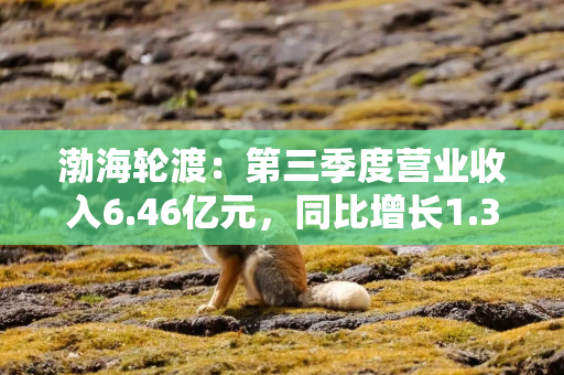 渤海轮渡：第三季度营业收入6.46亿元，同比增长1.36%