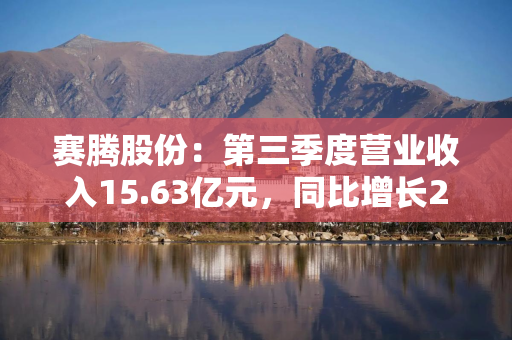 赛腾股份：第三季度营业收入15.63亿元，同比增长28.15%